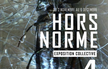 Exposition collective "Hors Norme" Du 2 nov au 7 déc 2024