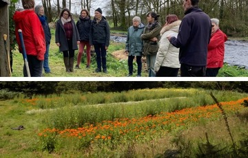 Créer son jardin de plantes aromatiques et médicinales Le 15 mars 2025