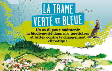 La Virgule Verte : La santé au féminin : quelles... Du 7 janv au 4 mars 2025